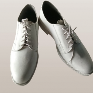 Navy Shoe (White)